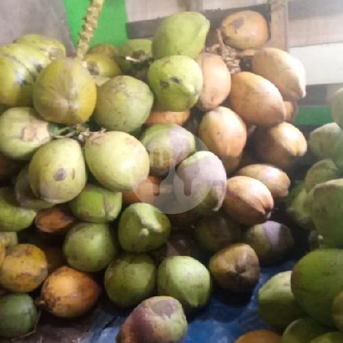 5 Kelapa Muda Isi Tipis D Papras Atas Bawah menu AGEN KELAPA MUDA DUA CIKAL