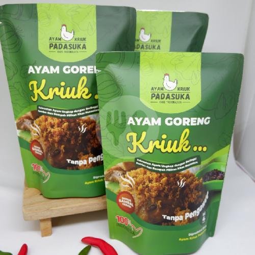 Review Ayam Goreng Kriuk Padasuka Ciamis: Tempat Makan Enak dan Cozy di Tasikmalaya