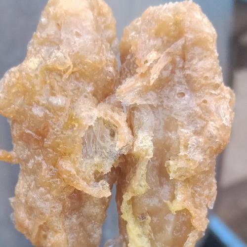 Tahu Bakso Frozen menu Rumah Bakpia Gagah, Ngasem