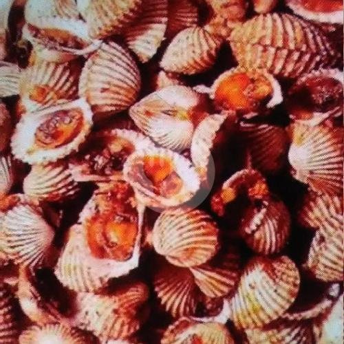 Kerang Hijau Rebus menu Seafood & Nasi Uduk 48 Dapsus, Fatmawati