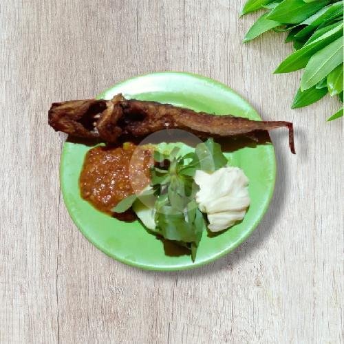 Pecel Lele Cak Wanto: Surga Kuliner Lezat dan Terjangkau di Yogyakarta