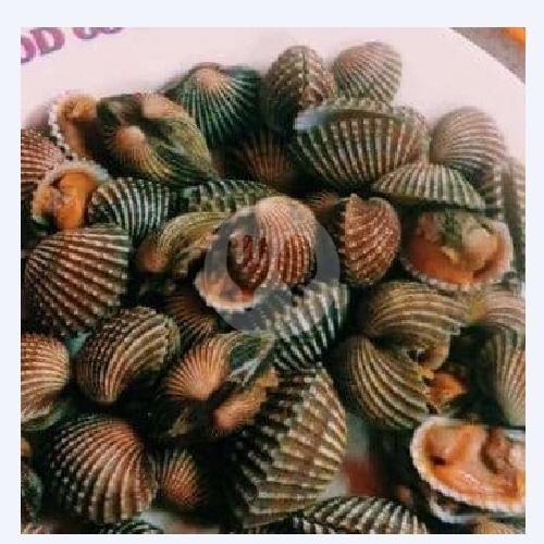Kerang Dara Saos Padang menu Seafood 68 Santa