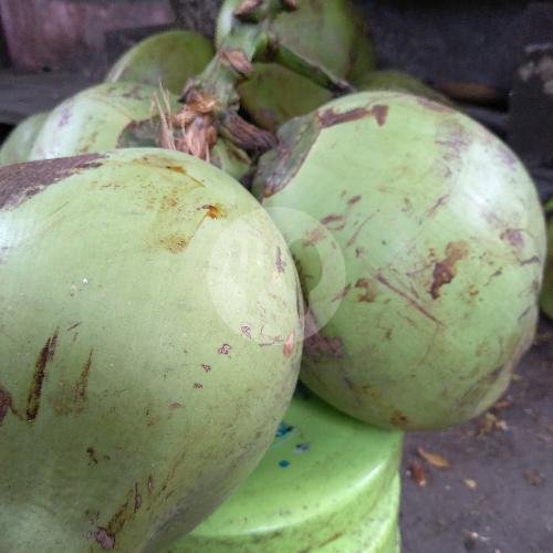 Es Kelapa Muda + Sirup (1 Glondong) menu Es Kelapa Muda Mbak Win, Abdul Rahman Saleh