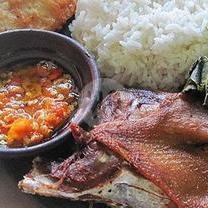 Bebek Mangap Delivery: Surga Bebek Goreng di Mertoyudan yang Menggugah Selera