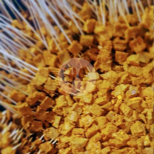 Sate Padang Ma’aciak: Surga Kuliner di Dipatiukur, Bandung