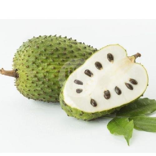 Jus Terong Belanda menu Mahkota juice 2, Gatak