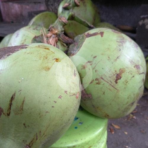 Es Kelapa Muda + Gula Jawa (1 Glondong) menu Es Kelapa Muda Mbak Win, Abdul Rahman Saleh