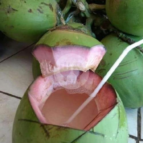 Es Kelapa Jeruk menu Kelapa Muda Sawargi, Cileunyi kulon