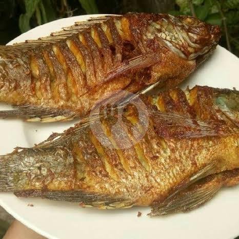 Ikan Patin Goreng menu Warteg Budi Asih 2, Gegerkalong