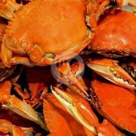 Kepiting Saus Tiram menu Seafood & Nasi Uduk 48 Dapsus, Fatmawati