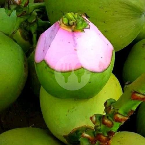 Telur Dadar Sosis menu Nasi Goreng Jelas, Pondok Aren