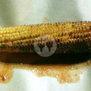 Jagung Bakar Pedas Asin menu Jagung Bakar Kebonan, Baciro