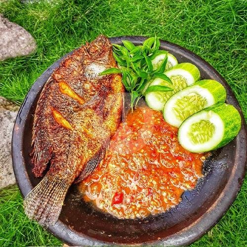 Nasi Mujaer menu Warung Bebek Semoga Jaya, Sambiroto
