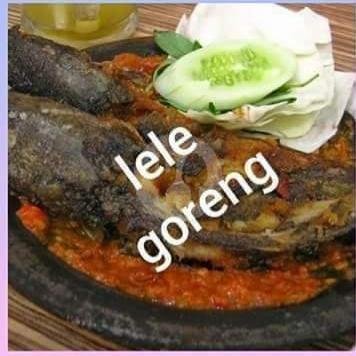 Paket Burung Dara + Nasi menu Warung Sido Mulyo Mas Widodo, Slawi