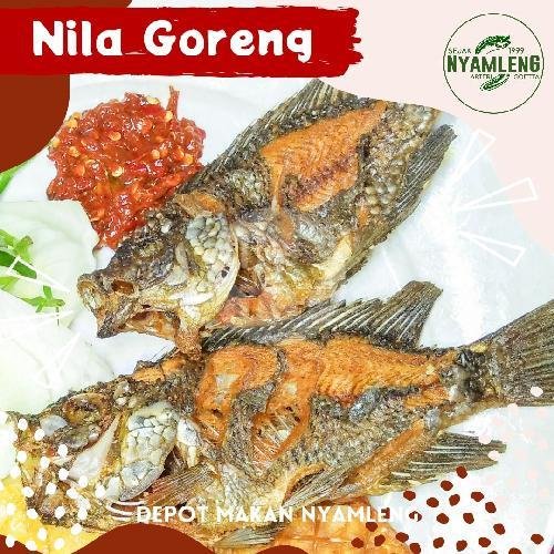 Lele Goreng menu Depot Makan Nyamleng, Kalicari