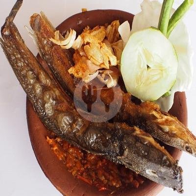 Telor Dadar menu Spesial Belut Surabaya H Poer, Gwalk