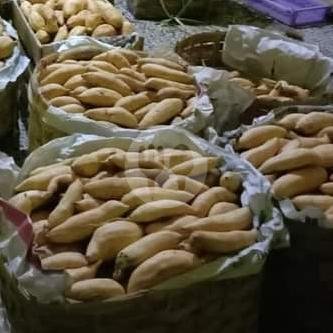Carang Emas Kremes Ubi Cilembu dan Ungu  mix 6 menu Ubi Madu Cilembu ,jl Sulfat 38, Purwantoro, Blimbing, Kota Malang