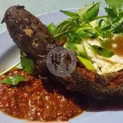 Nasi Putih menu Pecel Lele Sambel Gledek, Jati Petamburan