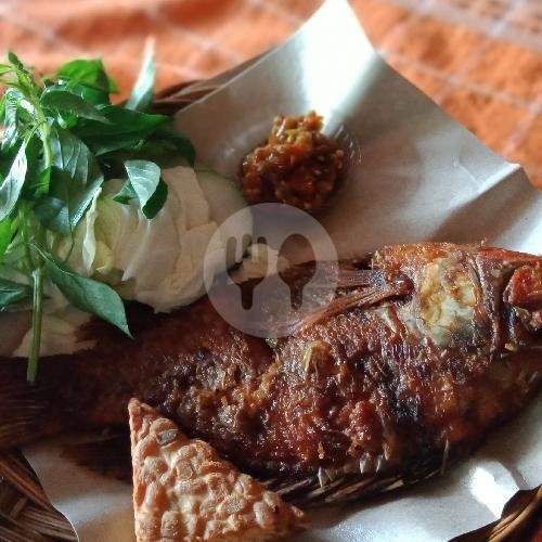 Paket Lele menu Nasi Uduk Bebek Goreng Bu Bibit, Banjarsari