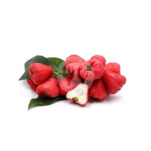 Kedondong menu Rujak Buah Sasbud, Blok M27