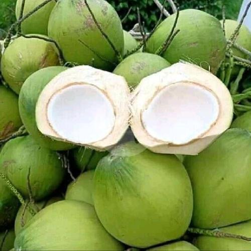 Kelapa Muda Murni ( cup jumbo ) menu Kelapa Muda Murni, Pogung Lor