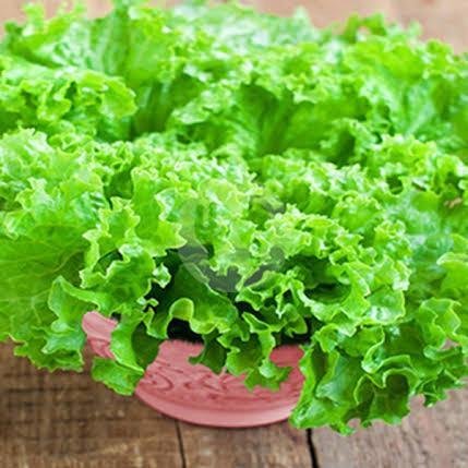 TAMBAH KERUPUK menu Gado Gado Sehat Pakmun