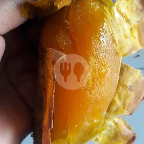 Ubi Bakar Madu Cilembu Princes 1,5 Kg menu Ubi Bakar Cilembu & Cemilan Padasuka