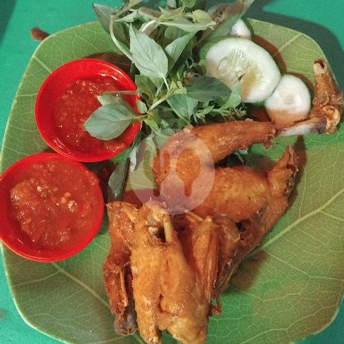 Ayam Kampung menu Bebek Goreng Pak Joko Putra, Petogogan 2 Raya