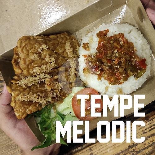 Nasi Lele Stage Dive menu Penyetin lagi