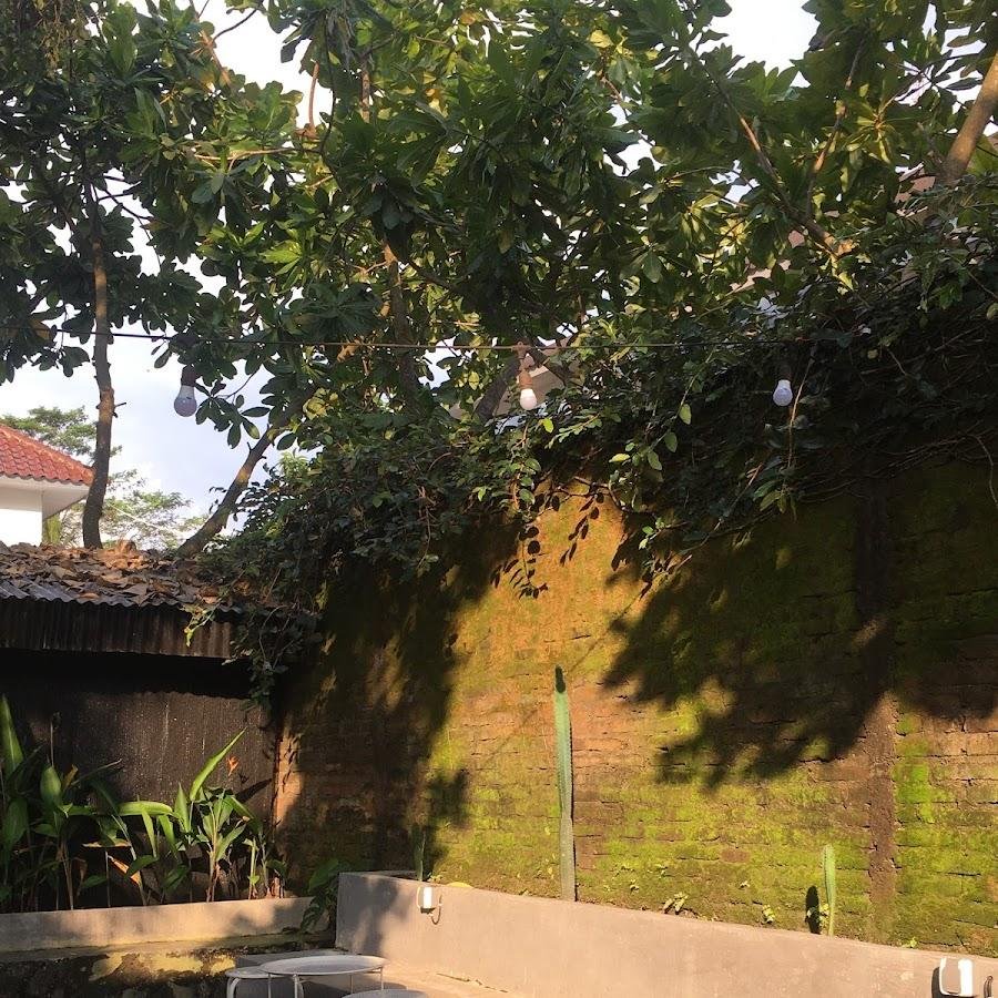 Coffee Shop Novikovi, Sawitan