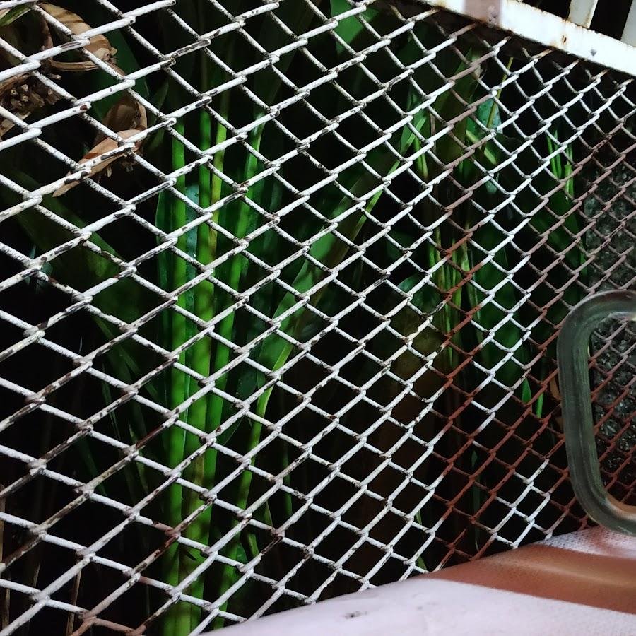 Pempek Palembang Gajahmada Cek Ming, Semarang Tengah