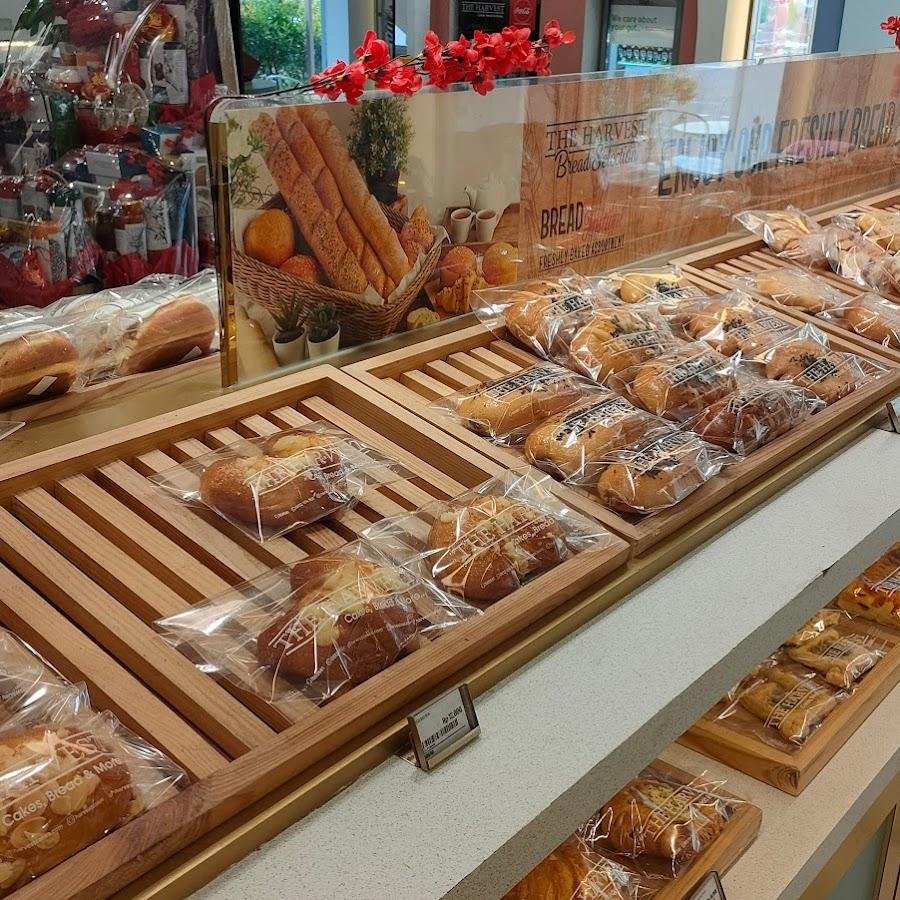 The Harvest Cakes, Solo