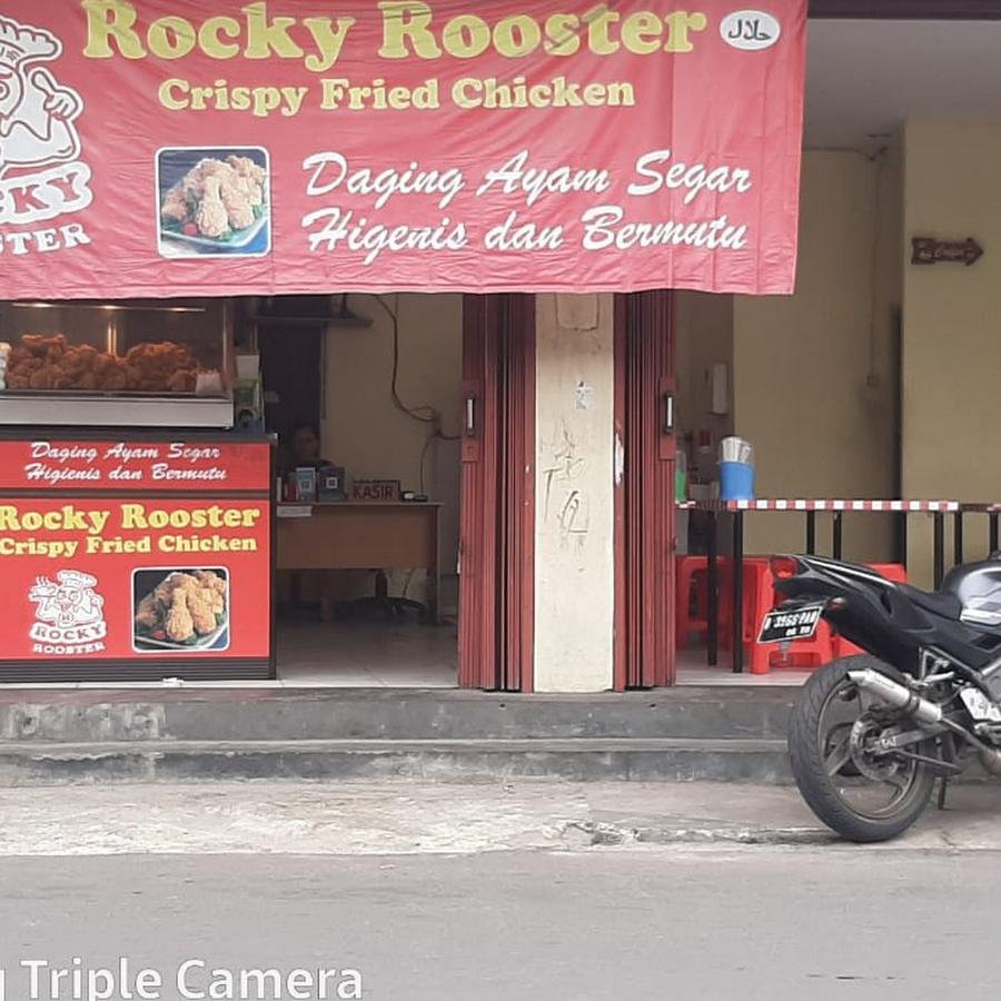 Rocky Rooster, Palmerah