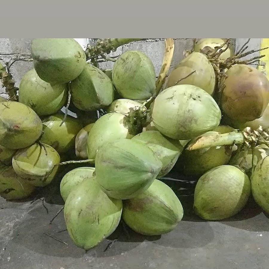 Bakso Dan Es Kelapa Muda Berliana, Secang