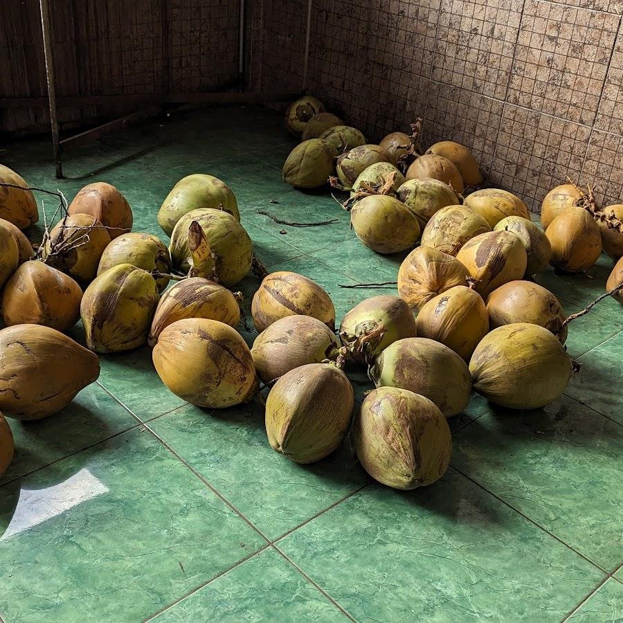 Kelapa Muda Murni, Pogung Lor