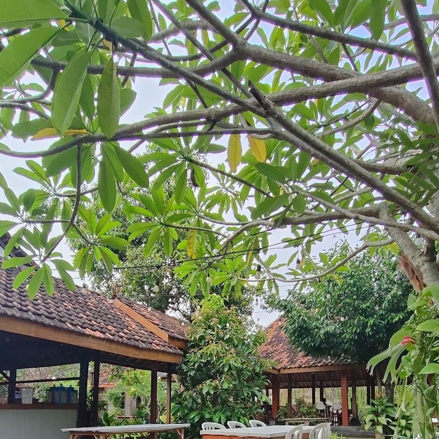 Gandhok Coffee, Kraton