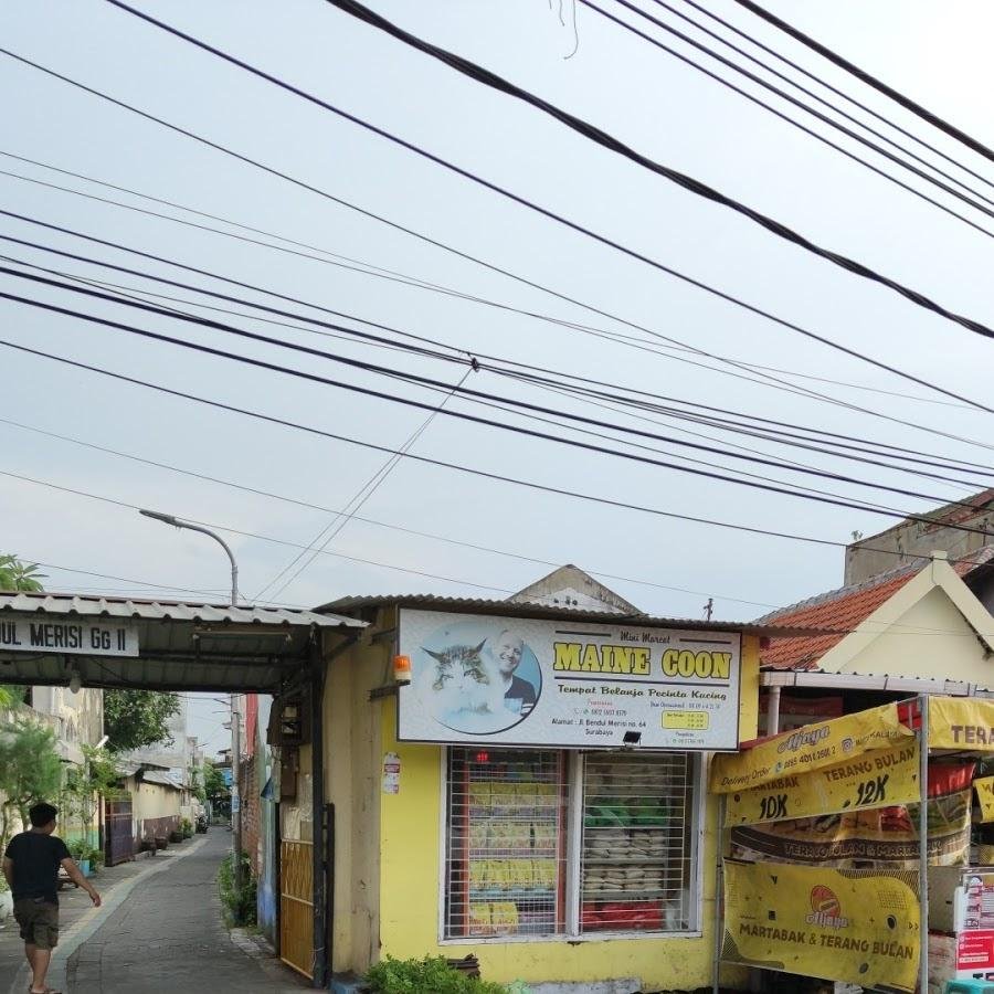 Aljaya Terang Bulan Martabak, Bendul Merisi