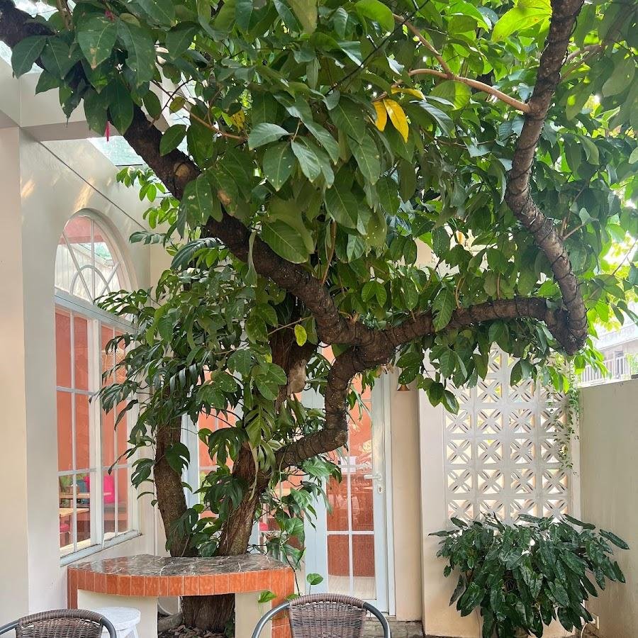 Kede Kuliner Khas Medan, Mini