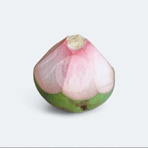 Kelapa Hijau - Besar (Large) menu Kelapa Pandan Spesial Bang Udin, Bonjol