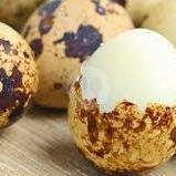 Ampela menu Bubur Ayam Bandung Pak Mustofa, Taman Aries