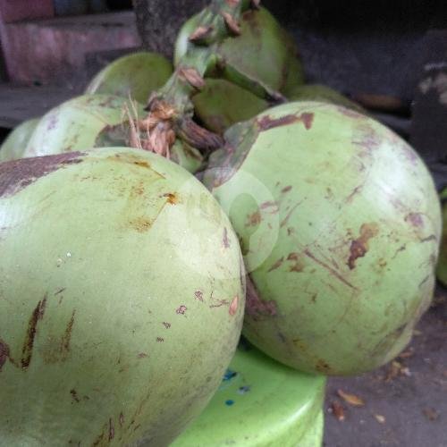 Es Kelapa Muda Mbak Win: Surga Minuman Kelapa Muda di Semarang