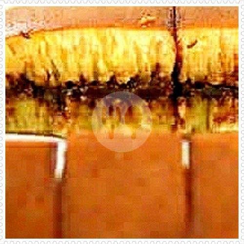 Spesial(3telor Ayam) menu Martabak Shiva Lurah, Plumbon