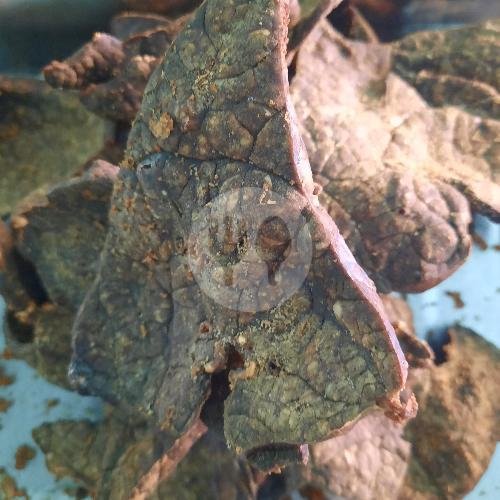 Nasi Peyek Udang menu Masakan Padang Pondok Salero, Petemon Barat