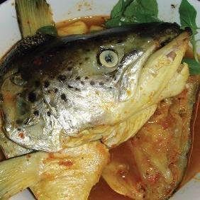 Review Sop Janda Jawa Sunda: Nikmati Sop Daging Lezat di Pekayon Bekasi Review Sop Janda Jawa Sunda: Nikmati Sop Daging Lezat di Pekayon Bekasi