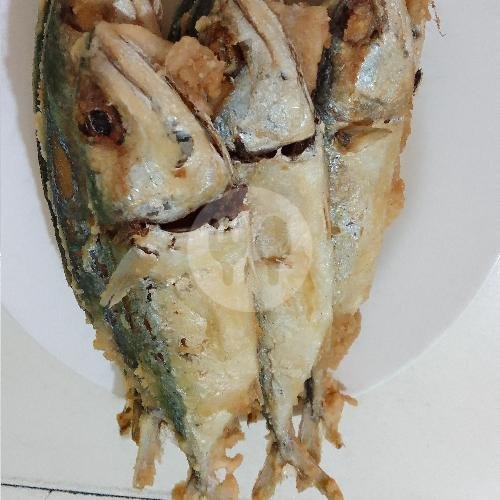Opor Ikan Patin menu Warteg Bejo 24jam Jl Kemang 1b