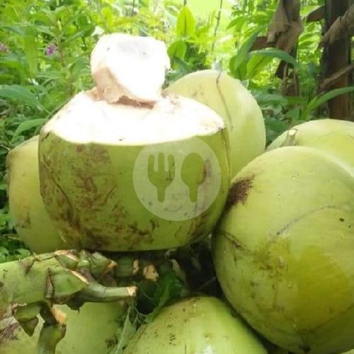 Kelapa Ijo Besar menu Kelapa Muda Sawargi, Cileunyi kulon