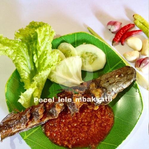 Paket Lele + Nasi + Tahu + Tempe menu Pecel Lele Mbak Yati, Bangka