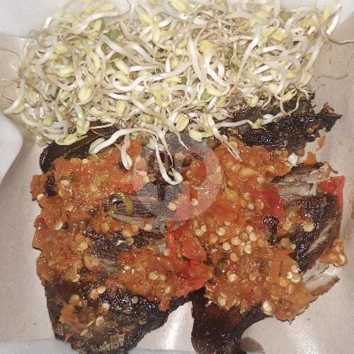 Sate Kambing 5 Tusuk menu Sate Kambing Pak Ali Mangkang, Gotong Royong