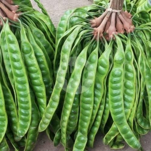 PETE (catat: Mentah-Bakar-Goreng) menu Ikan Bakar Cepit - IBC, Bantul