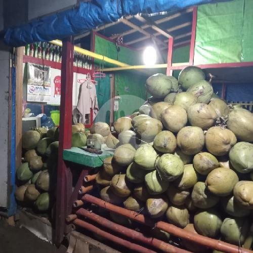 Kelapa Muda Isi Tipis D Bungkus 1 menu AGEN KELAPA MUDA DUA CIKAL